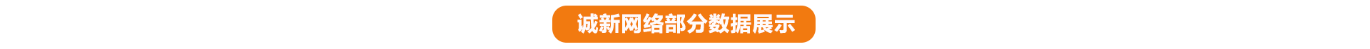 数据展示标题